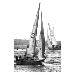 Douglas Page Photographic Arts - Sailboat Race, Bw,  Canvas Giclee, 12"x18" - Prints And Posters