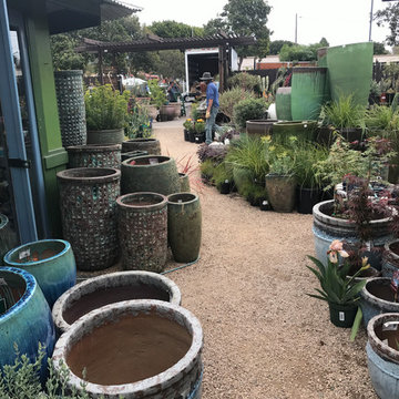 Local Nurseries
