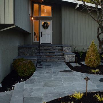 Entry pathway and steps