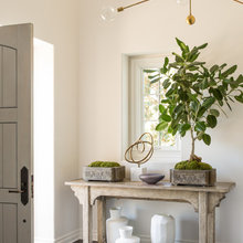 plants interior