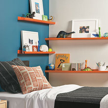 andrew's shelving project
