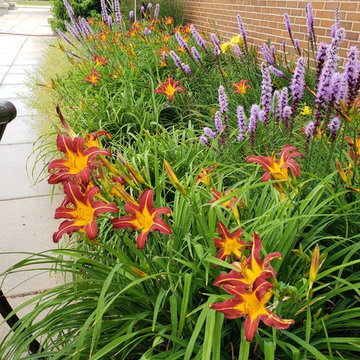 Donated Planting