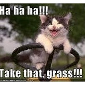 Ann Shanteau's photo