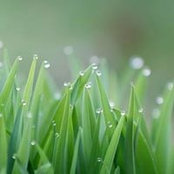 Amy Jones's photo