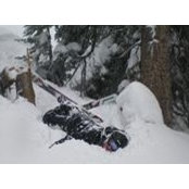 Dan Goodman's photo