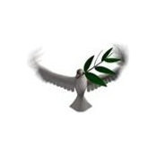 Chris Dove's photo