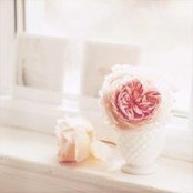Tomi Asiri's photo