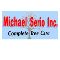 Michael Serio Inc