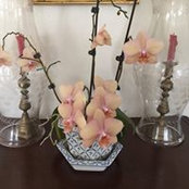 Kari Amazeen's photo