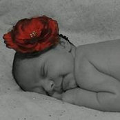 Melinda Eaves's photo