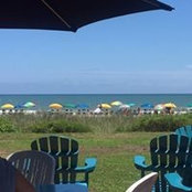 Stephen Bacharach's photo