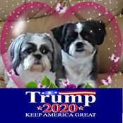 Darlene Bassett's photo