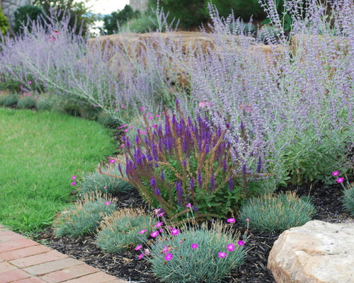 Planting Russian Sage Ideas Pictures Remodel And Decor