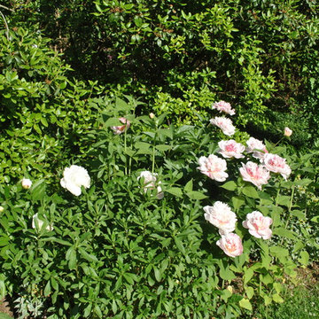 Carriage House Garden