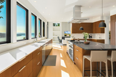 Kitchen - modern kitchen idea in Seattle