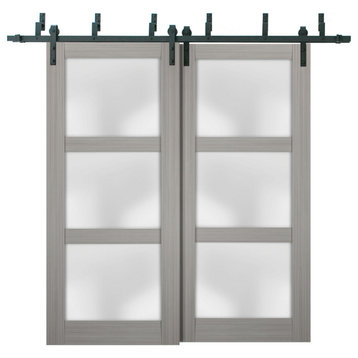 Closet Frosted Glass Barn Bypass Doors 60 x 84, Lucia 2552 Grey Ash