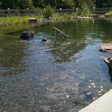 Natural Swimming Pool