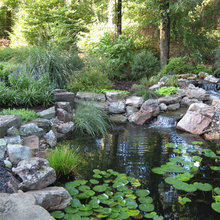 Artificial Pond