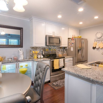 Lewin Whole House Project