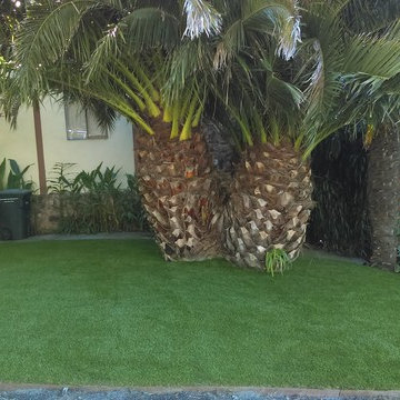 Tropical Front Yard Installation