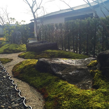 苔庭