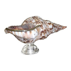 Belle & June - Triton Shell Server W/Silver - Dinnerware