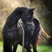 Yara El Desoukey's photo