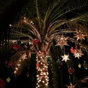 Sarah Semple's photo