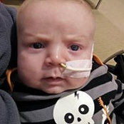 Sherri Klenczar's photo