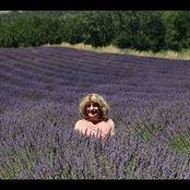 Foto von Sherry Glazer