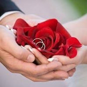 Photo de Alaa Hameed