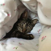 Jenny Walker's photo