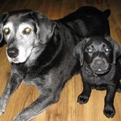Dan Sutton's photo