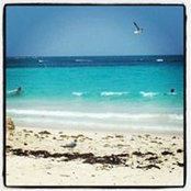 Mike Brown's photo