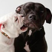 Loretta Kennedy's photo