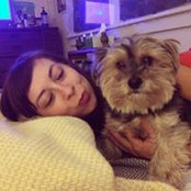 Allison TacoCat's photo