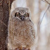 Bill Byers's photo