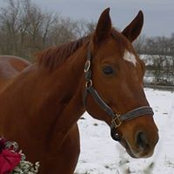 Elaine Staats's photo