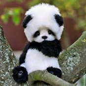 Irene Cua's photo