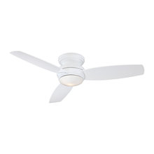 Florida Ceiling Fan