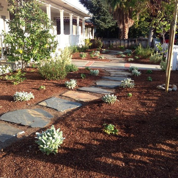 Remove Lawn for a Nectar Garden