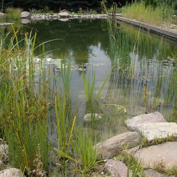 Schwimmteich- und Poolbau