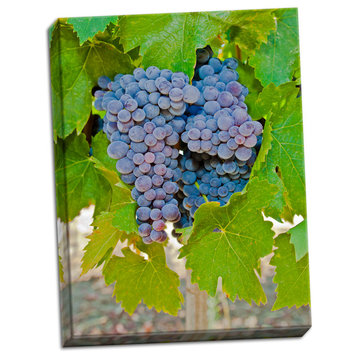 Fine Art Photograph, Cougar Winery Grapes I, Hand-Stretched Canvas
