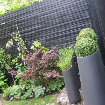 Tiny Clapham Garden