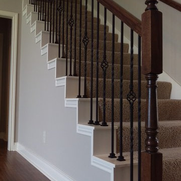 Baluster Sap