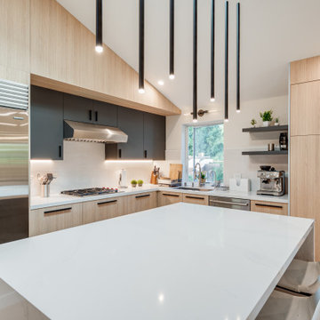 Modern House