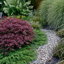 garden side yard path