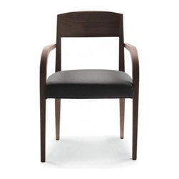 LASA Arm Chair - Dining Chairs