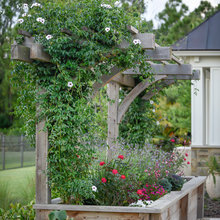 Planters/ raised garden