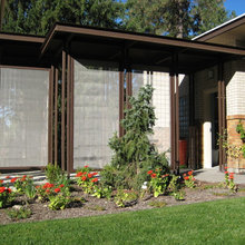 Privacy screen for grill